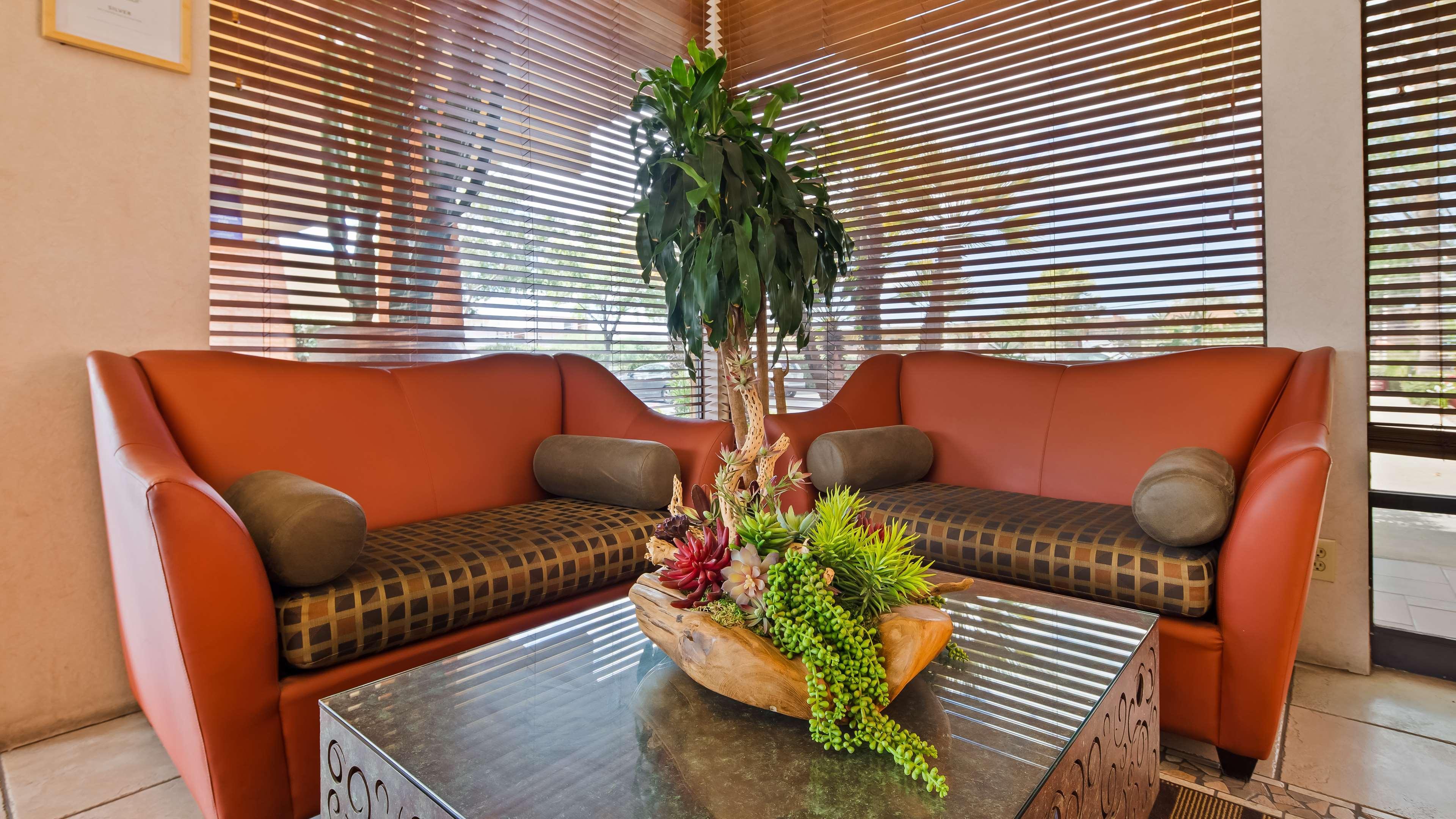 Best Western Royal Sun Inn & Suites Tucson Eksteriør billede