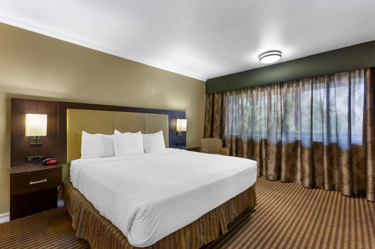 Best Western Royal Sun Inn & Suites Tucson Eksteriør billede